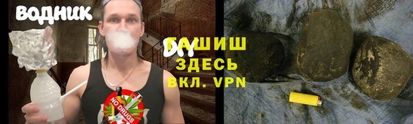 гидра Зеленодольск