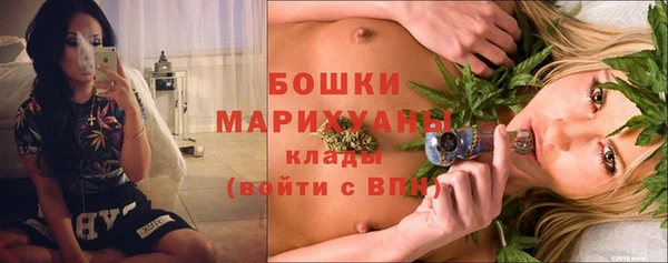 гидра Зеленодольск